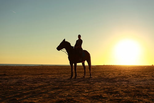 Man op paard tegen zonsondergang